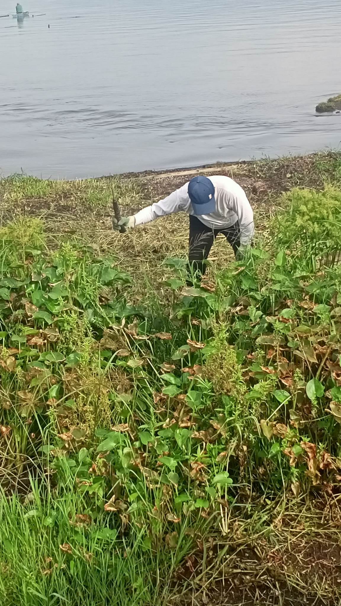Pananatili ng kalinisan ng Bay Walk at Sabang River Ecopark sa tulong ng Lakeshore Workers