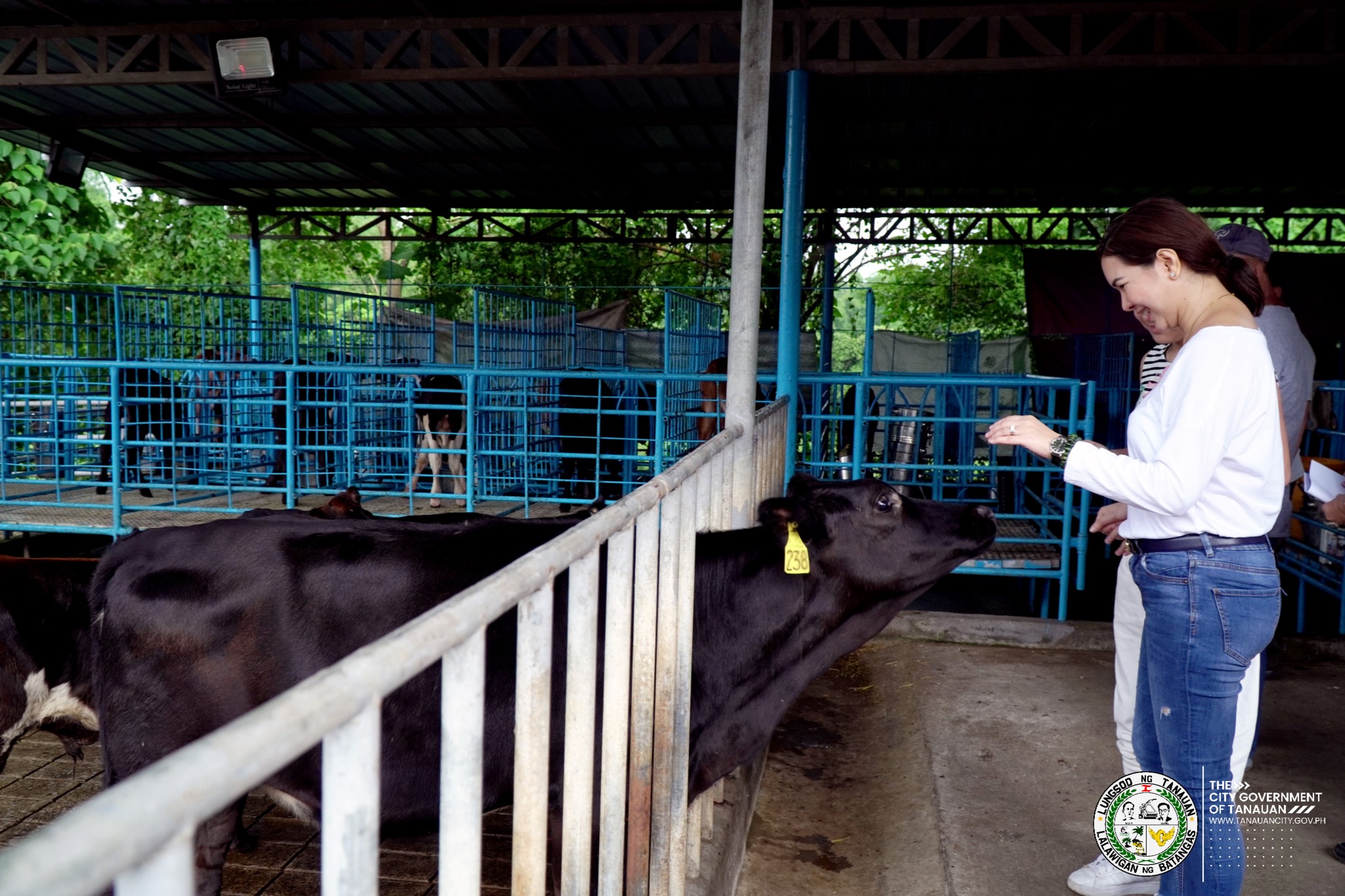 Samahang Maggagatas ng Batangas Cooperative (SAMABACO) sa Brgy. Tinurik